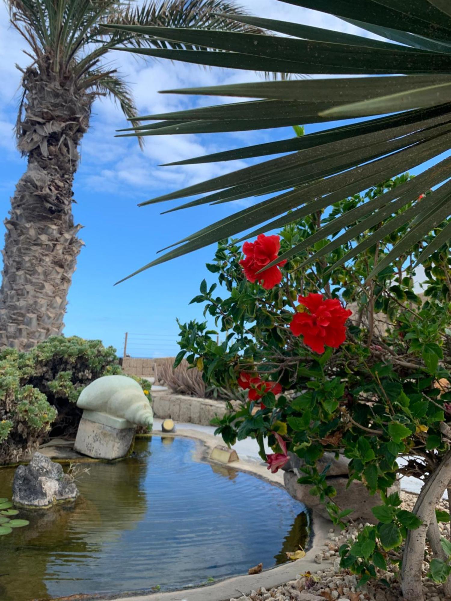Little Paradise In El Medano 2 Granadilla De Abona Zewnętrze zdjęcie